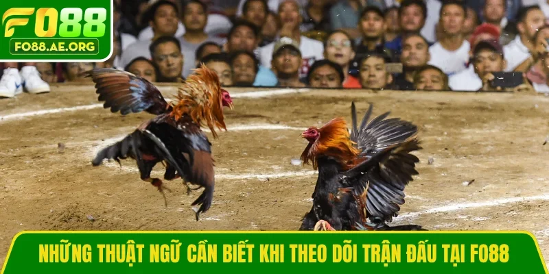 Những thuật ngữ cần biết khi theo dõi trận đấu tại FO88 