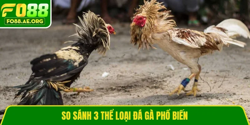 So sánh 3 thể loại đá gà phổ biến 